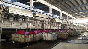 智能化與個性化是國產(chǎn)印染機械發(fā)展大趨勢