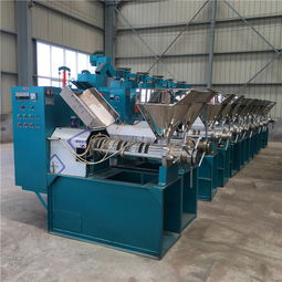 花生花生種子報價 廠家