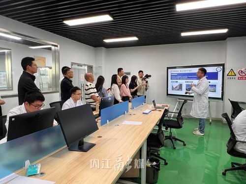 從“一”到“百” 內江以技術咨詢為雨露，讓創新種子長成產業森林